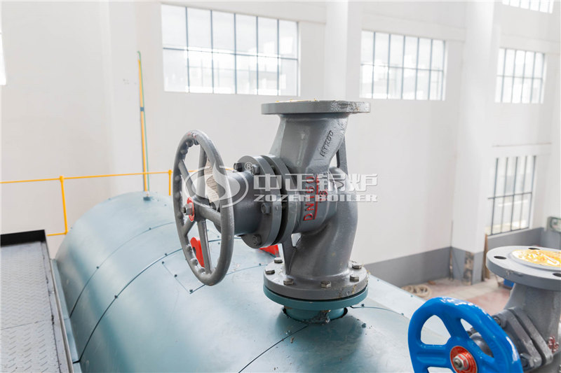 国家环保对烧锅炉