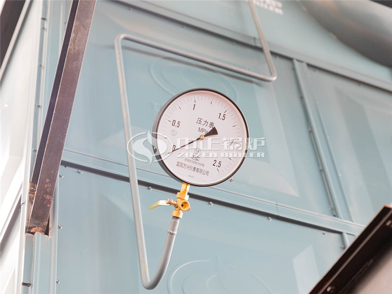 葫芦岛兴源环保锅炉