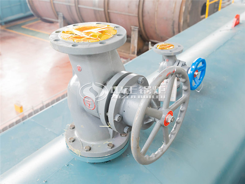 国家环保取缔生物质锅炉政策