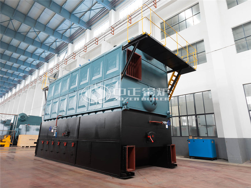 燃煤 生物质两用压力环保锅炉