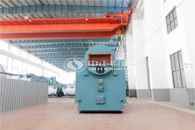 生物质锅炉 环保达标