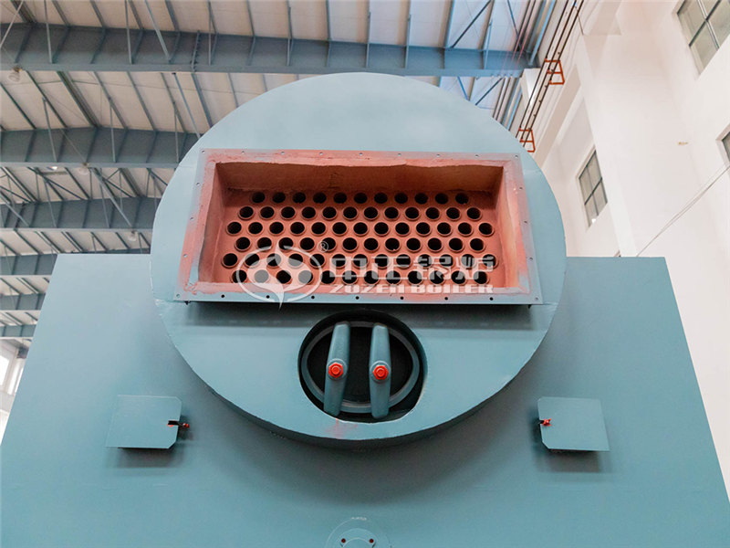 苏州养鸡环保节能锅炉