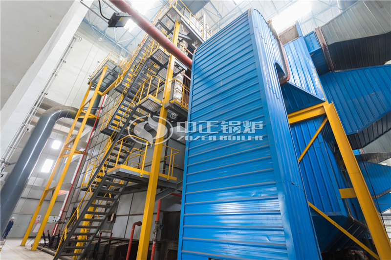 日照养鸡环保锅炉
