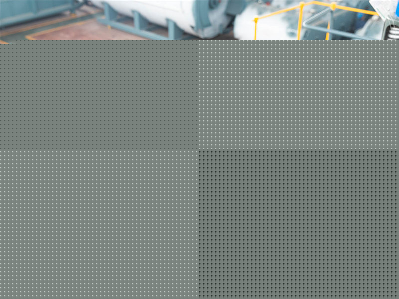 生物数控环保锅炉